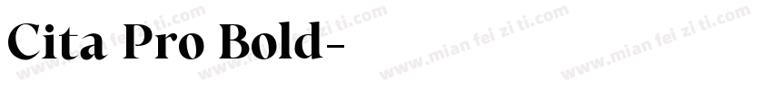 Cita Pro Bold字体转换